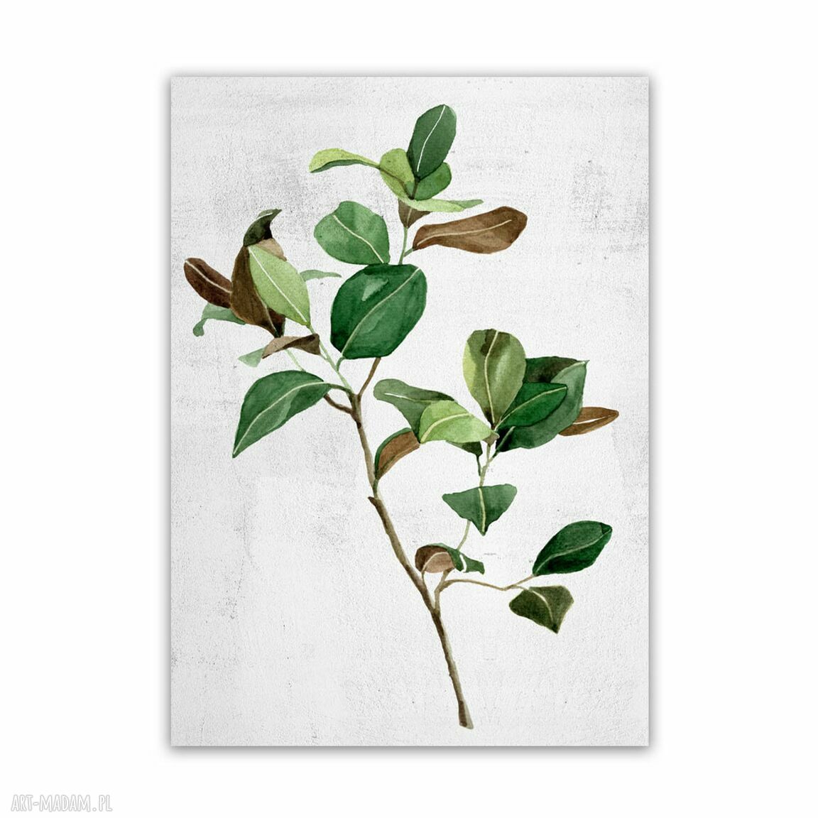 Akwarelowe roślinki - zielony tryptyk 3-częściowy 30x40 cm