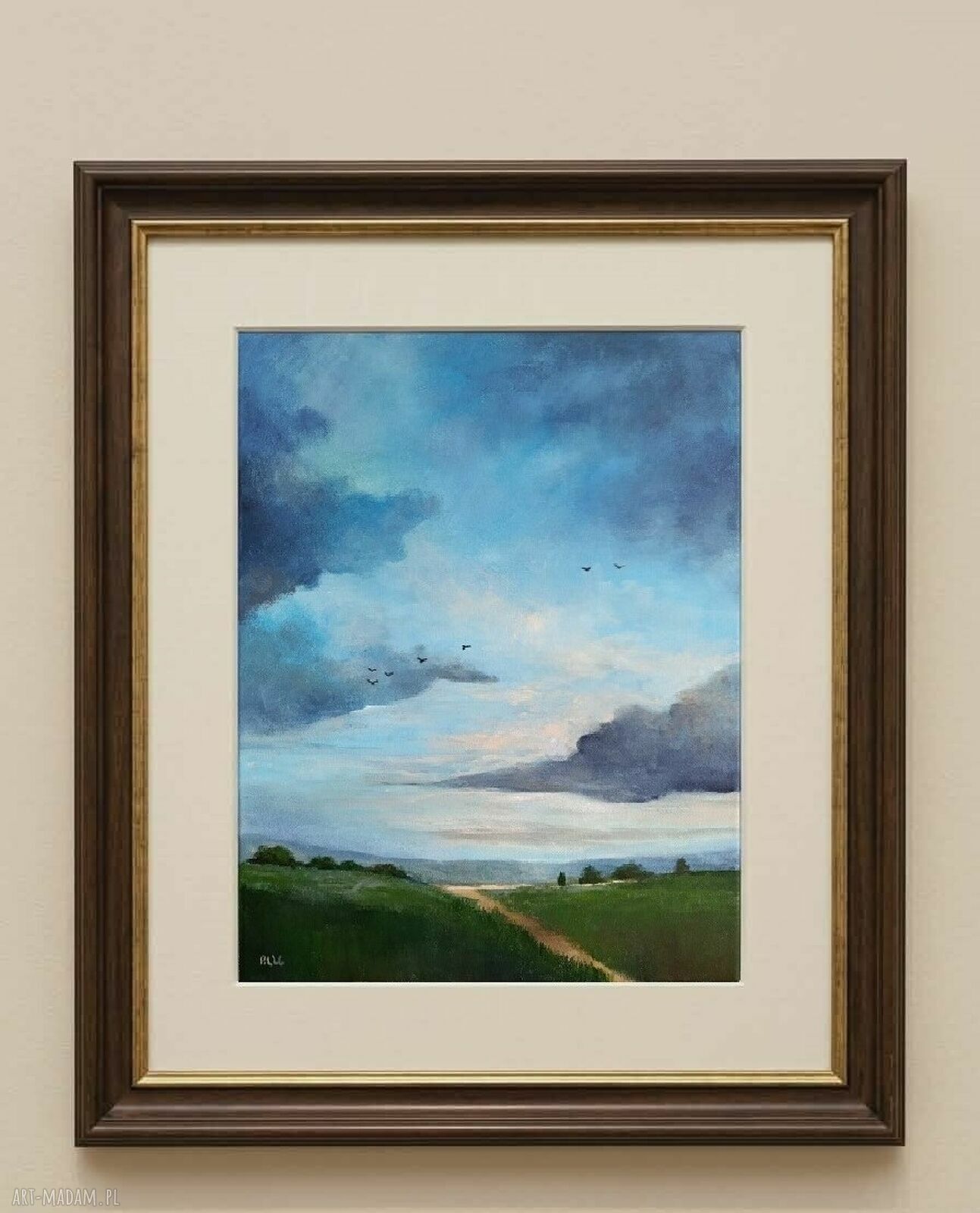 Przemijanie - obraz akrylowy 50x40 cm z chmurami i ptakami