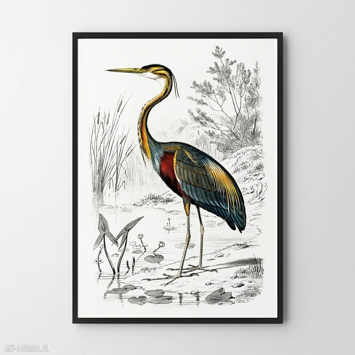 Ptak vintage - plakat 50x70 cm