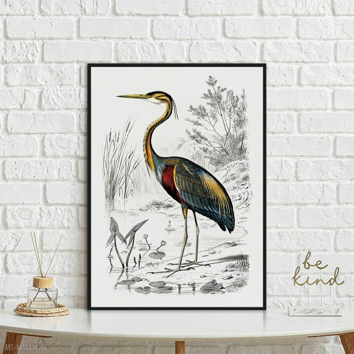 Plakat vintage z ptakiem 30x40 cm - Hogstudio