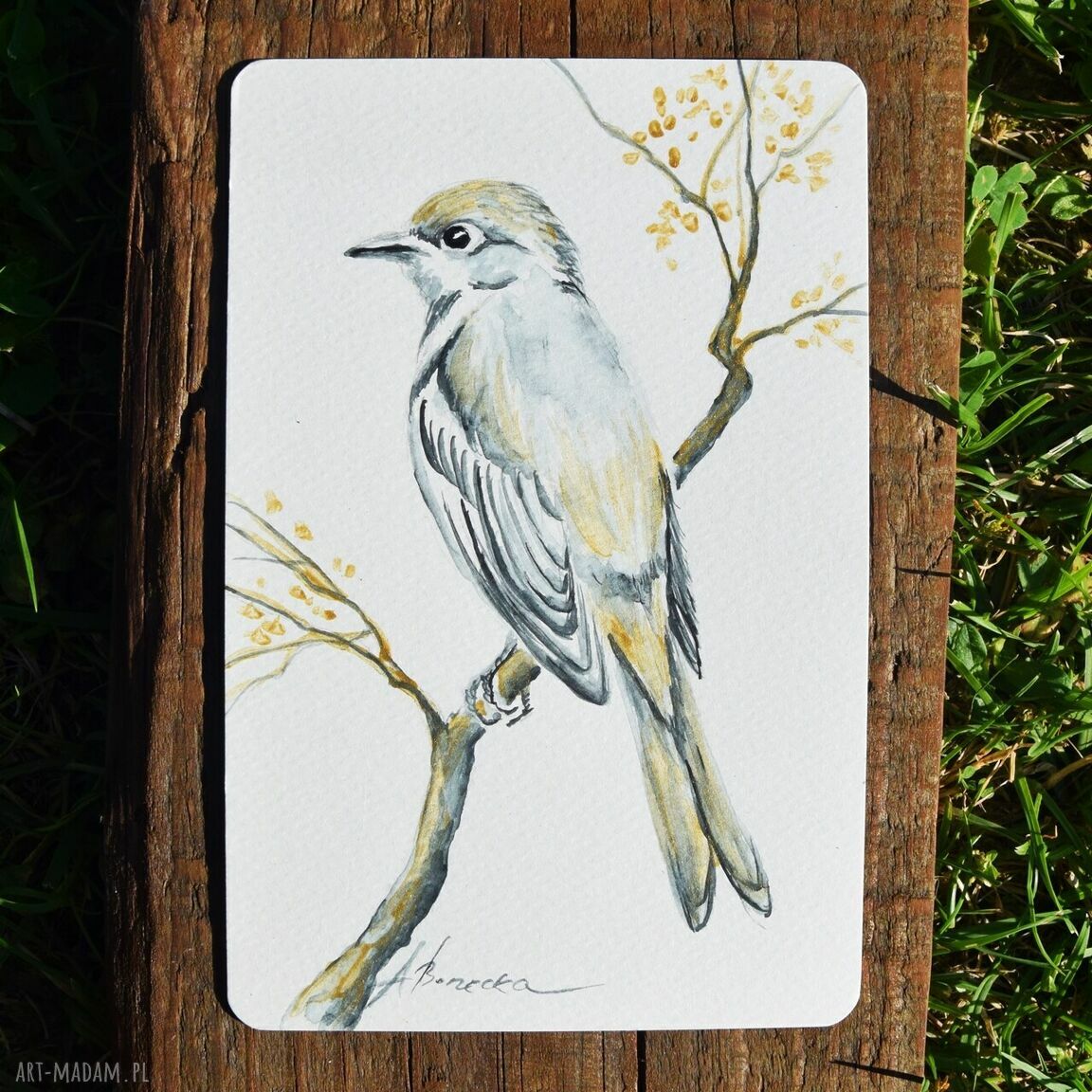 Ptaki - komplet 3 akwareli miniatur ze złotem (10x15 cm)