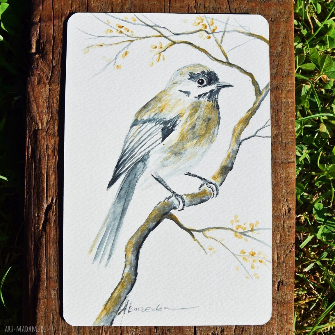 Ptaki - komplet 3 akwareli miniatur ze złotem (10x15 cm)