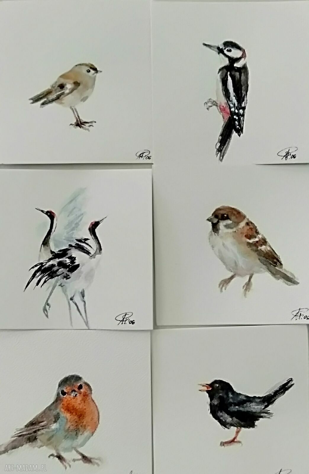 Ptaki - zestaw sześciu miniatur akwarelowych