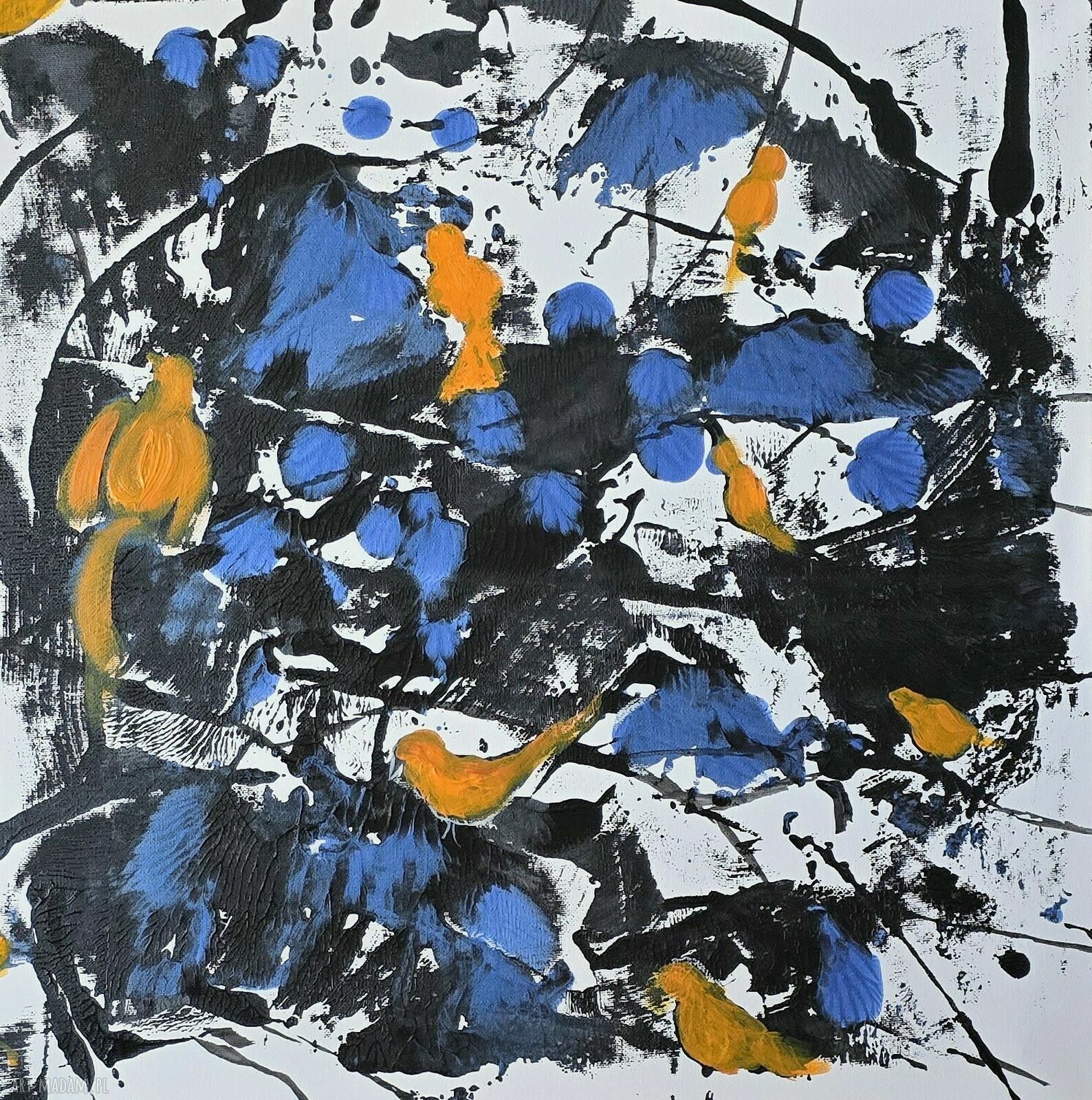 Ptaszarnia - obraz akrylowy na płótnie 50x50x1 cm