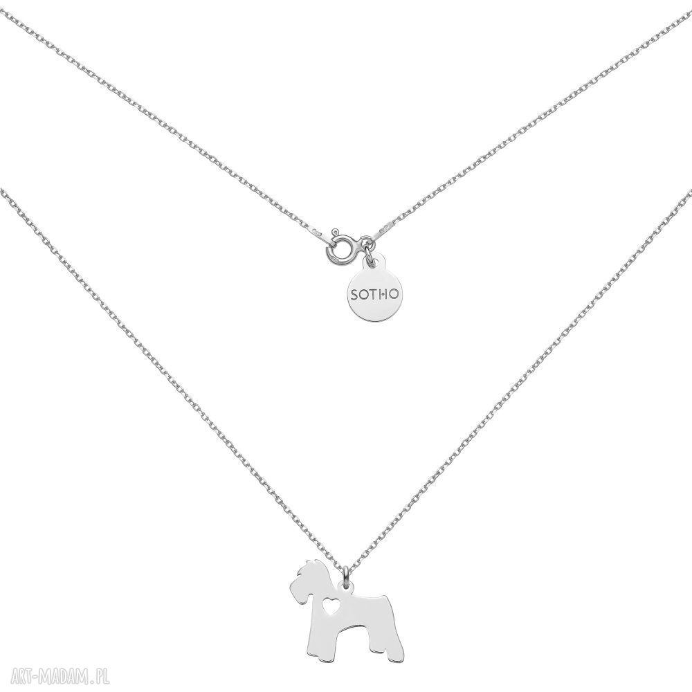 Srebrny naszyjnik psem rasy sznaucer pies zwierzak pupil