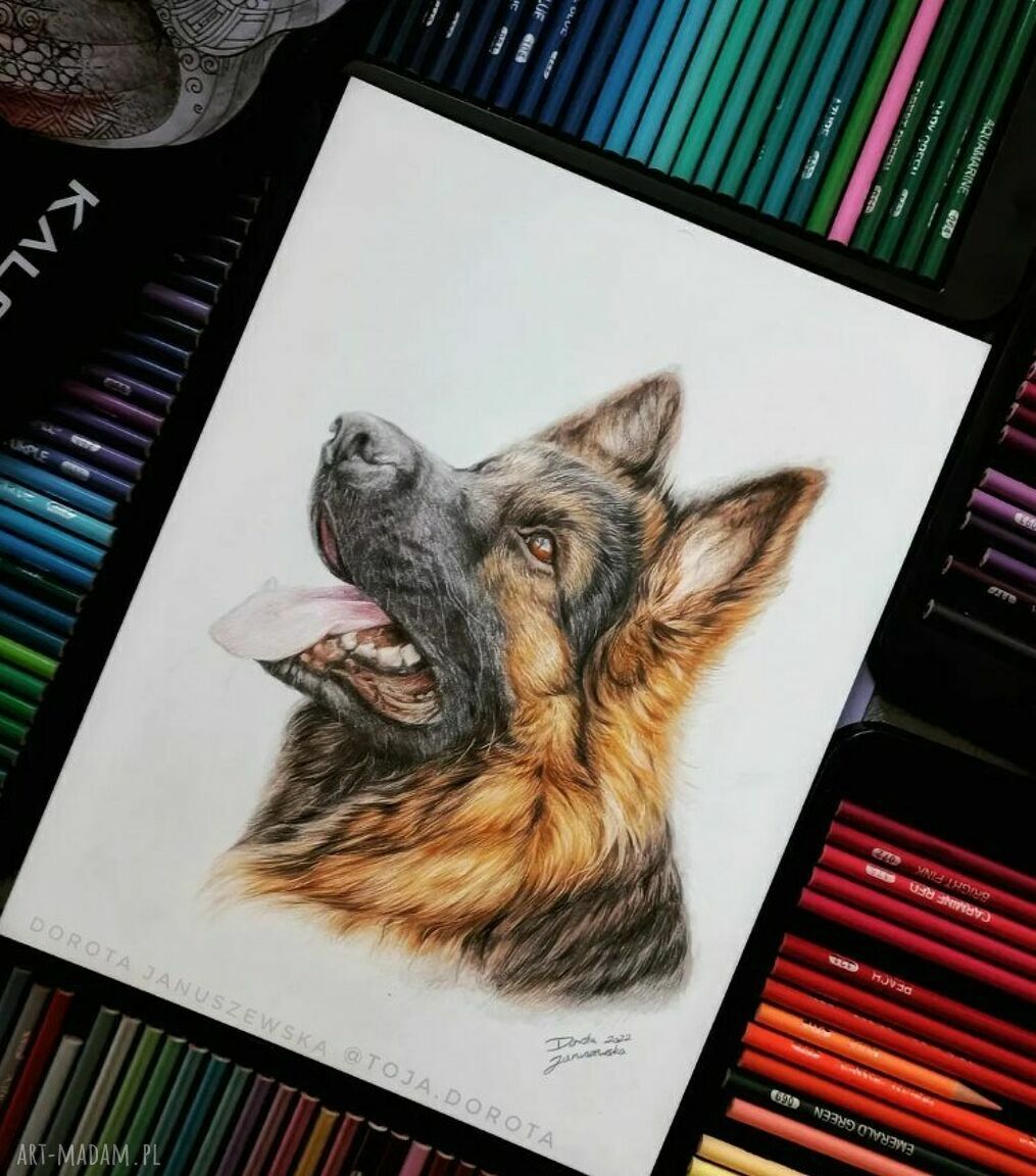 Portret pupila ze zdjęcia na zamówienie - realistyczny rysunek kredkami i ołówkiem
