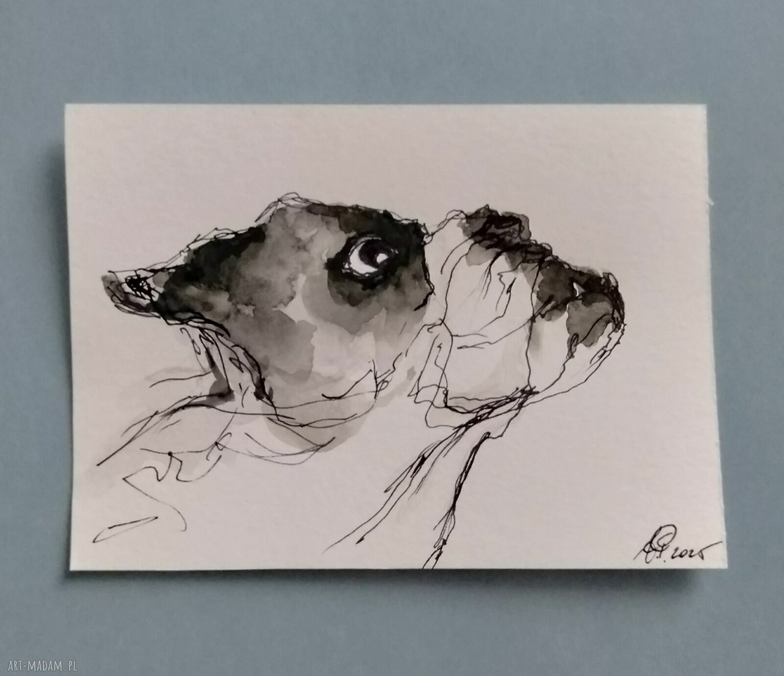 Pyszczek psa - akwarela i pióro (portret psa)