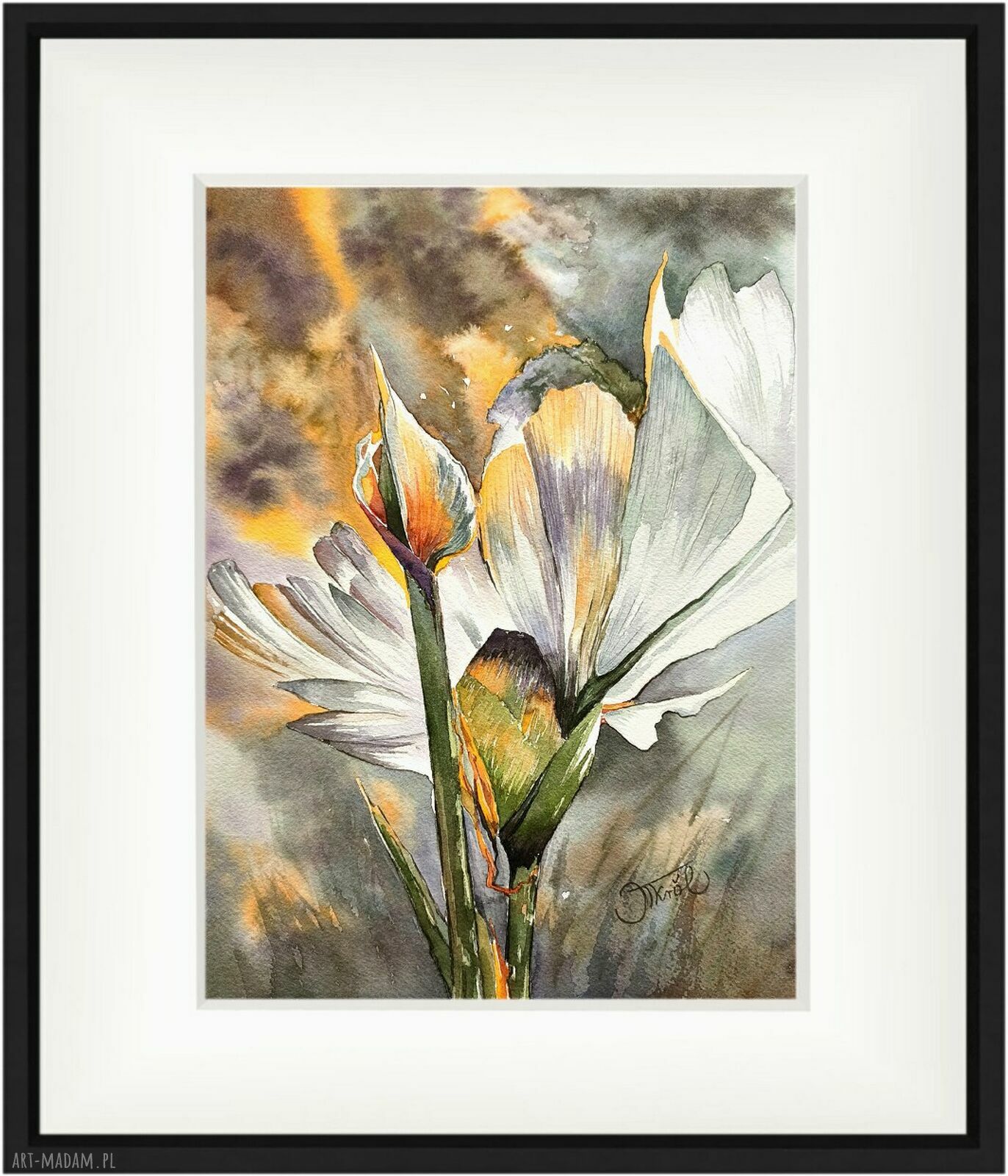 Akwarela „Rajski płomień” - strelicja 24x32 cm (oryginał)