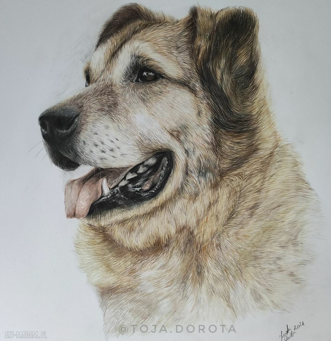 Realistyczny portret psa lub kota ze zdjęcia