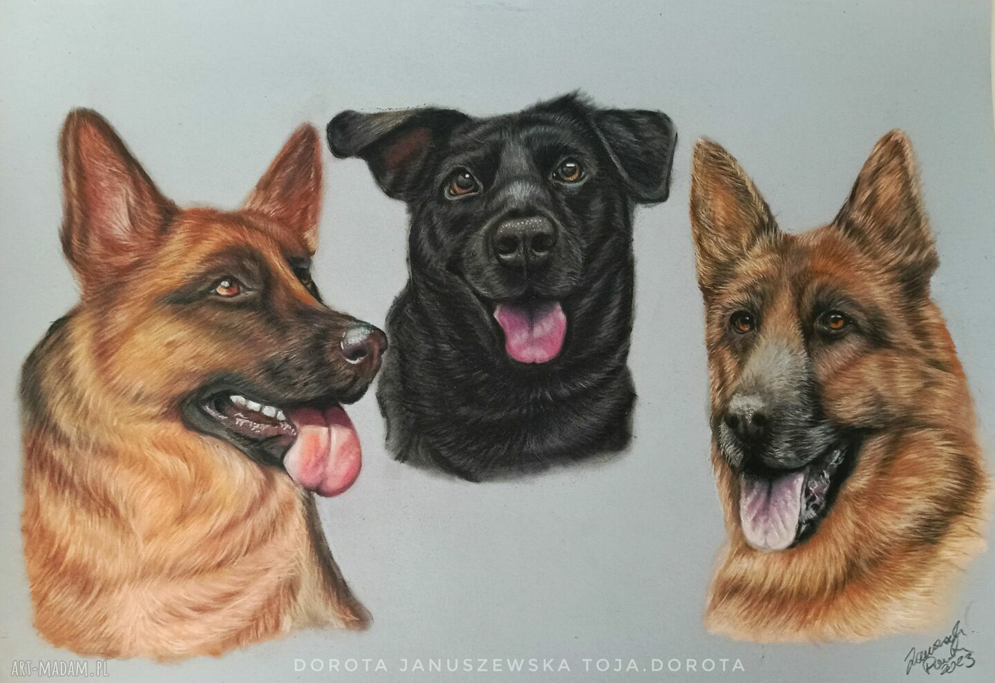 Realistyczny portret psa lub kota na zamówienie ze zdjęcia (A3)