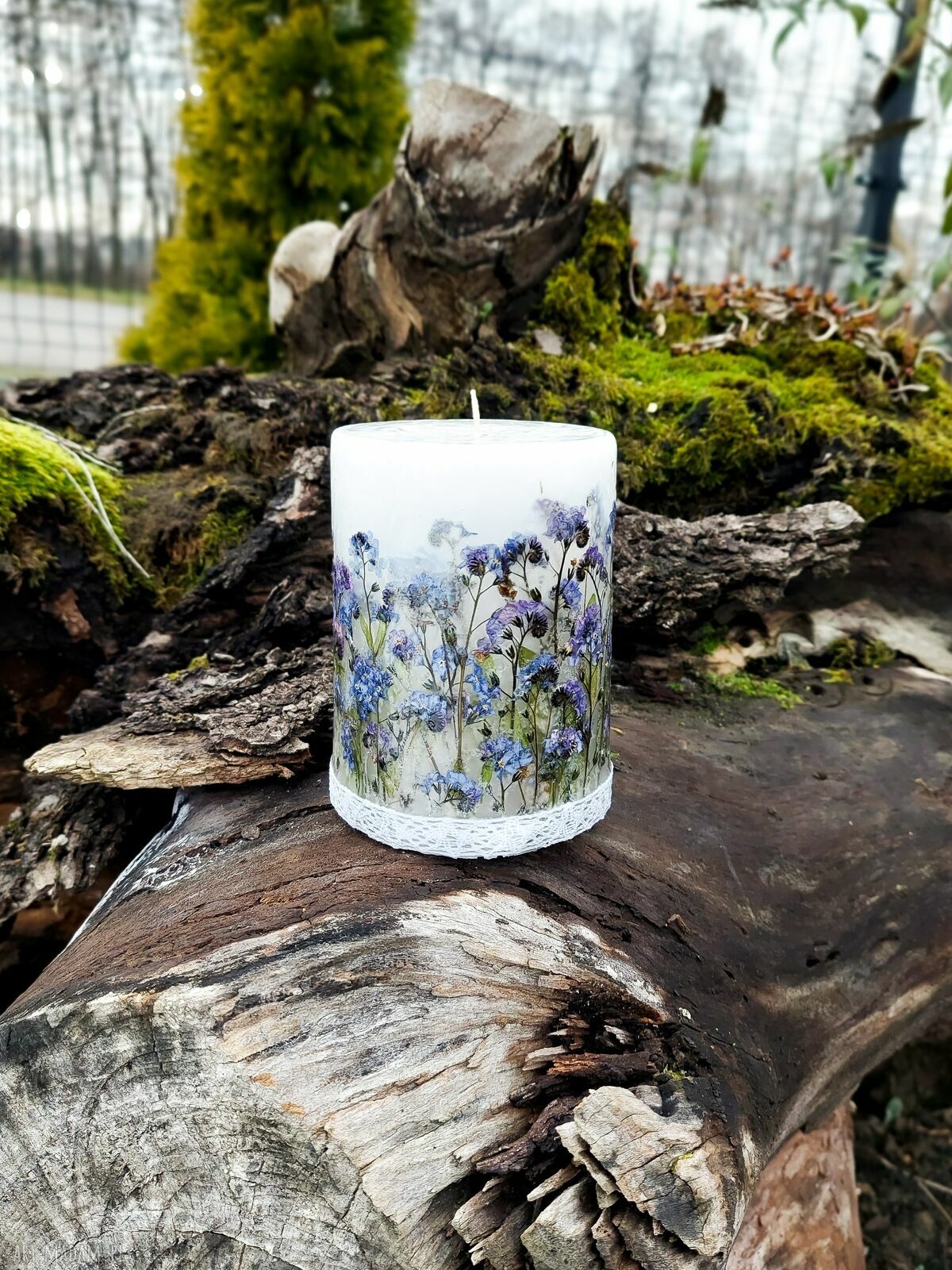 Ręcznie robiona świeca botaniczna z suszonymi niezapominajkami