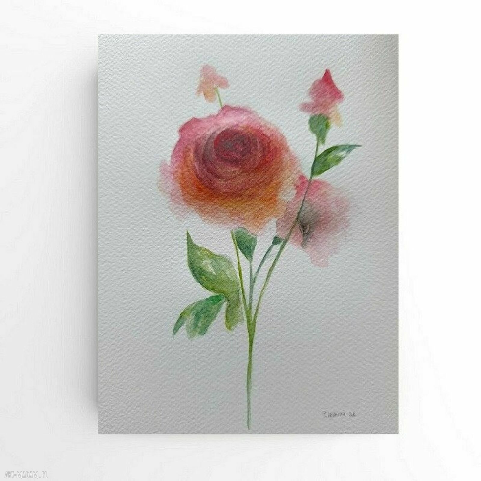 Róże - oryginalna akwarela w formacie 24x18 cm