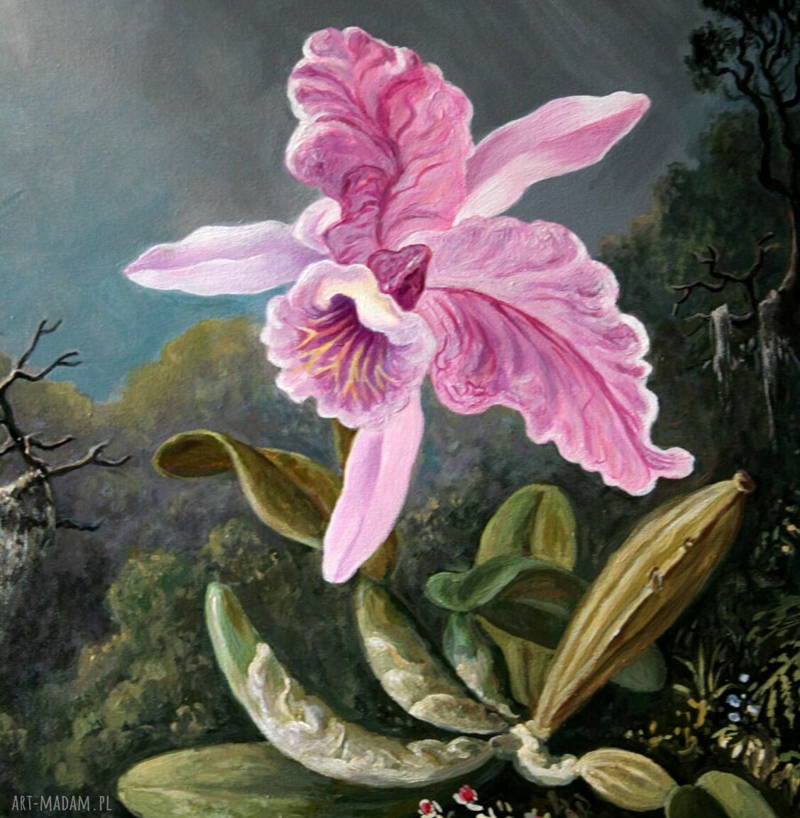 Różowa orchidea i rajska para - obraz na płótnie 50x60 cm