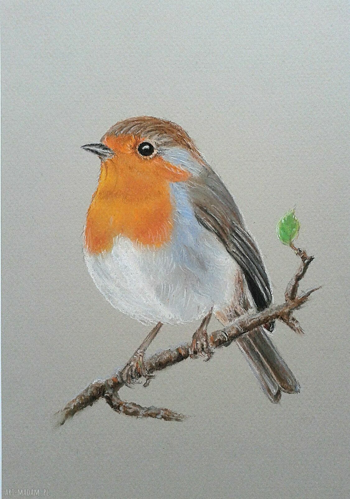 Rudzik w pastelach - ręcznie malowany obraz 16x24 cm