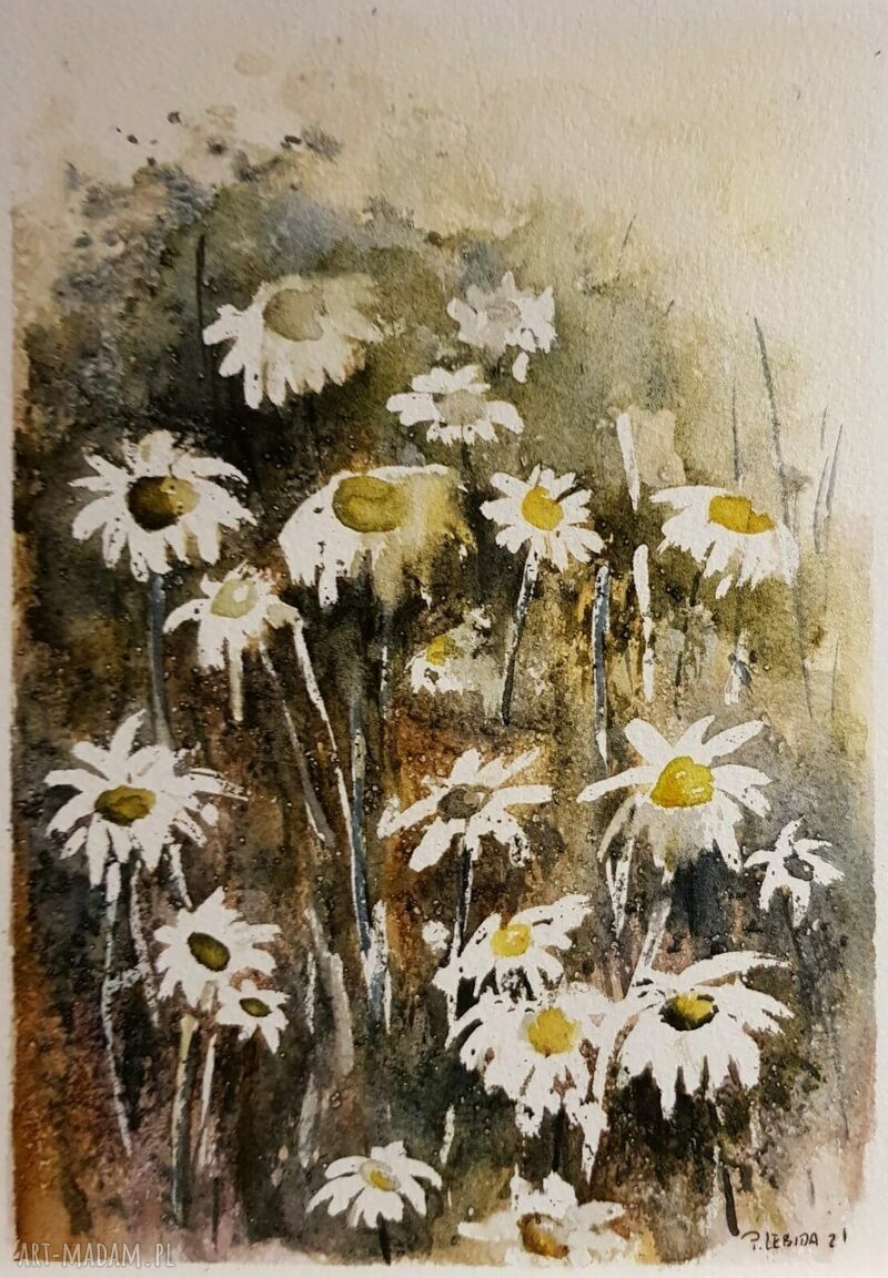 Rumianek - oryginalna akwarela w formacie A5