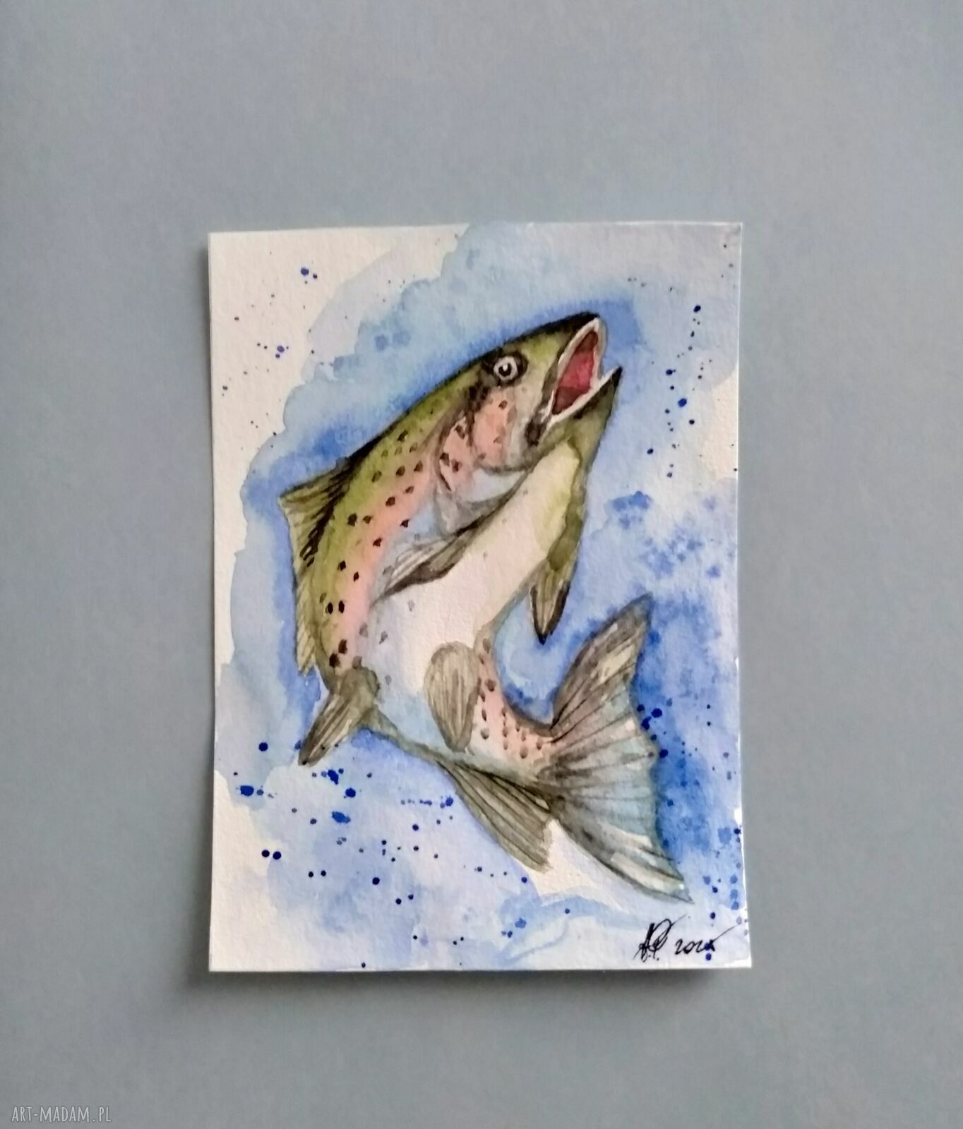 Ryba. Akwarela - kolorowa ilustracja Lhotse Design na papierze