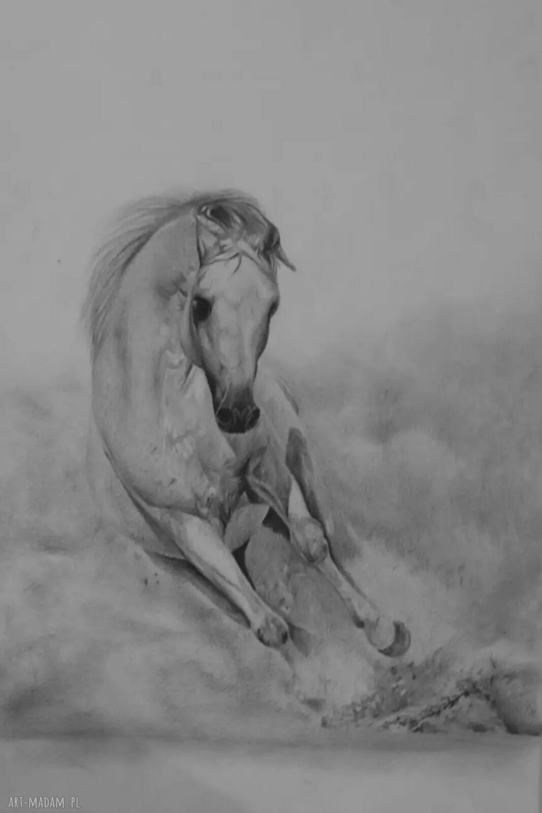 Portret konia w galopie - rysunek ołówkiem na papierze A4