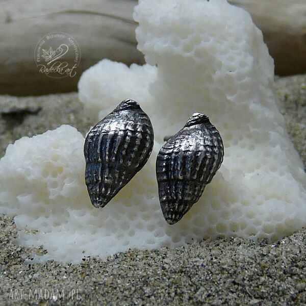 Sea Shells I - kolczyki sztyfty wkrętki z muszelkami marynistyczne ze srebra oksydowanego
