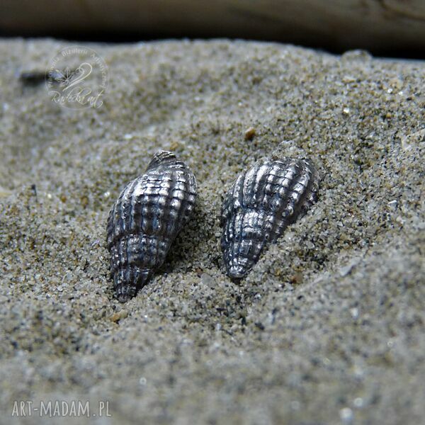 Sea Shells I - kolczyki sztyfty wkrętki z muszelkami marynistyczne ze srebra oksydowanego