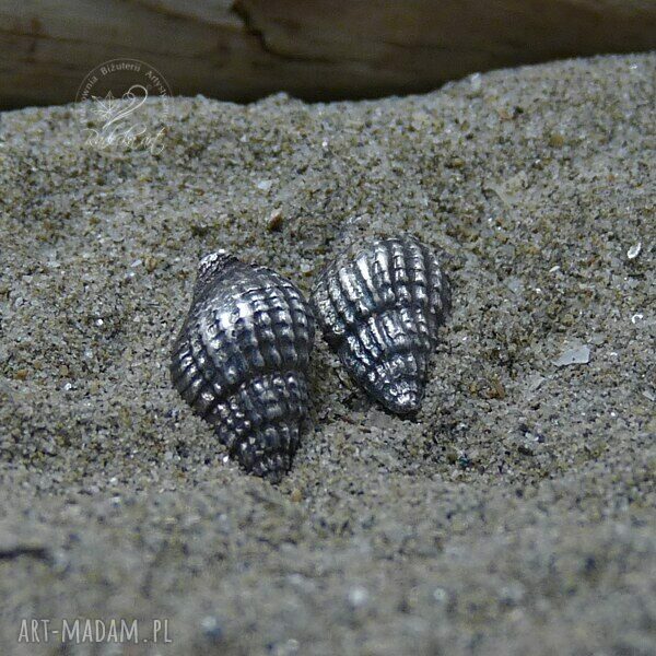 Sea Shells I - kolczyki sztyfty wkrętki z muszelkami marynistyczne ze srebra oksydowanego