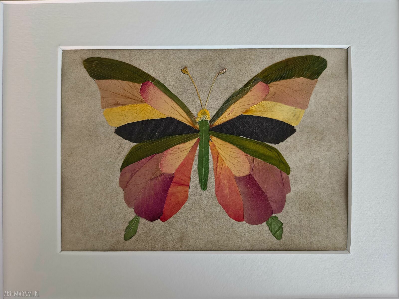 Silent Wings - unikatowy obraz motyla z suszonych kwiatów 30x21 cm