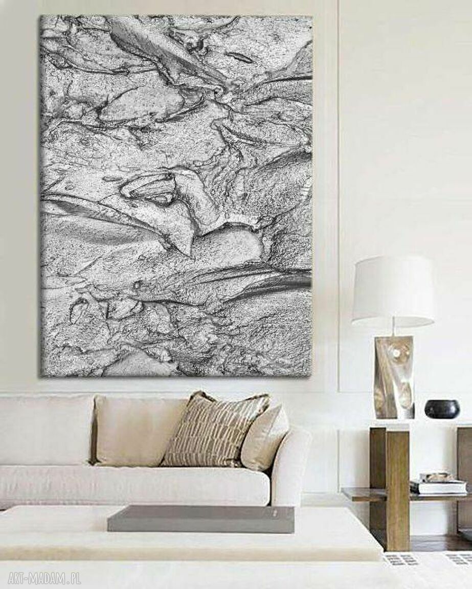 Silver Rock - wielkoformatowy obraz z metalicznym wykończeniem 100x150 cm