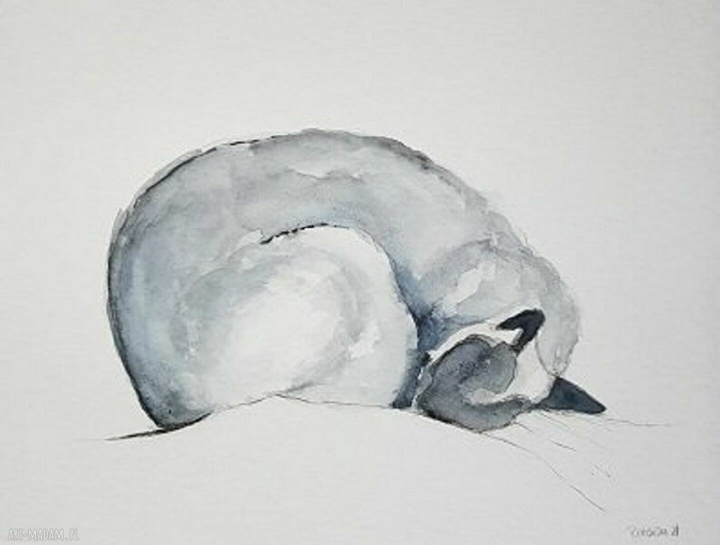 Śpiący kot - akwarela 32 x 24 cm, ręcznie malowana, sygnowana