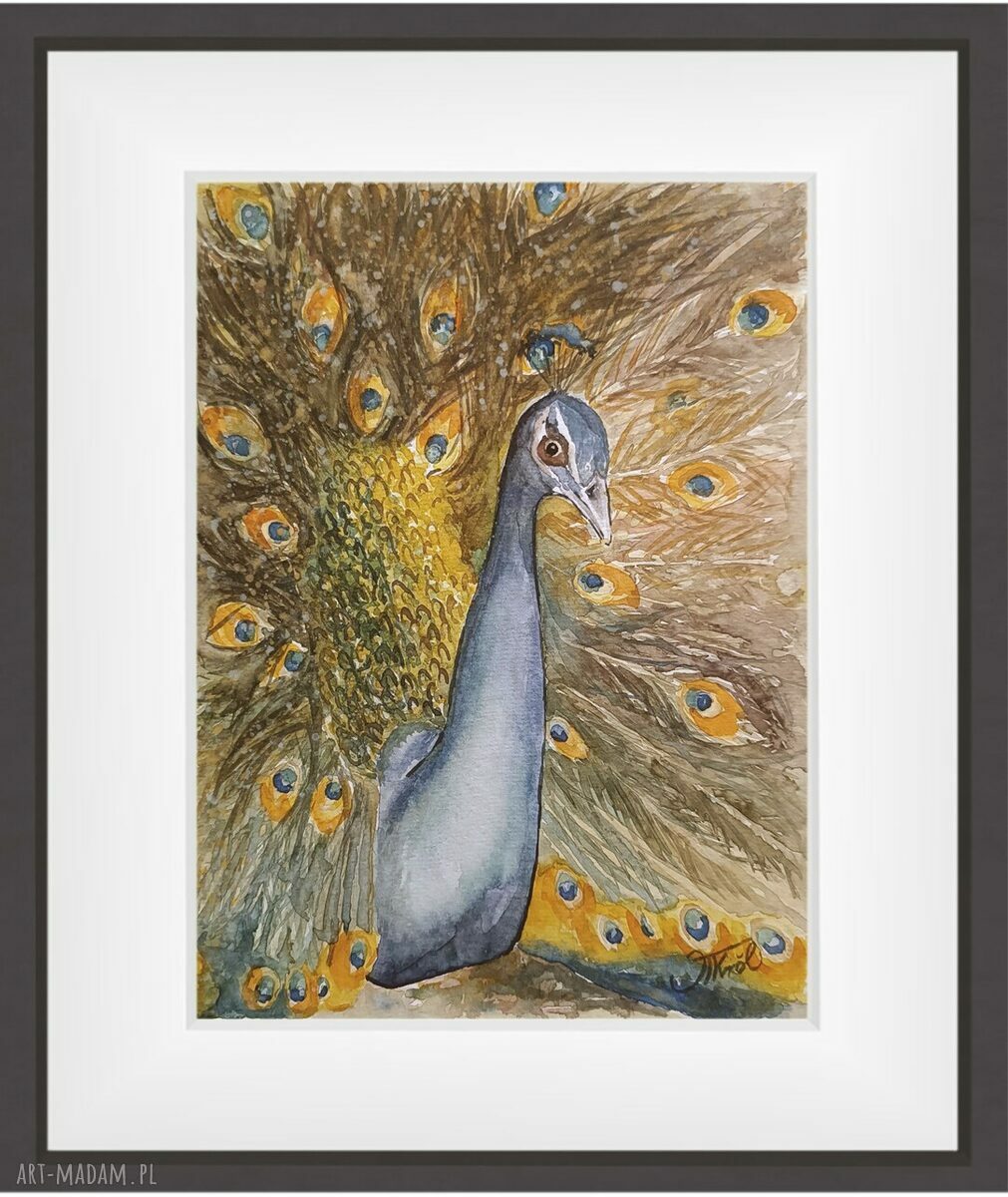 Akwarela z pawiem - „Spojrzenie”, urok pawia, 24 x 32 cm