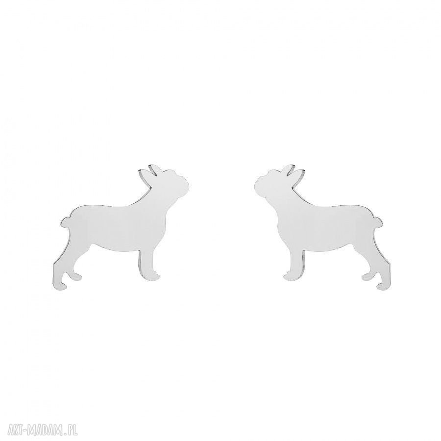 Srebrne kolczyki buldogi francuskie modne sztyfty wkrętki buldog