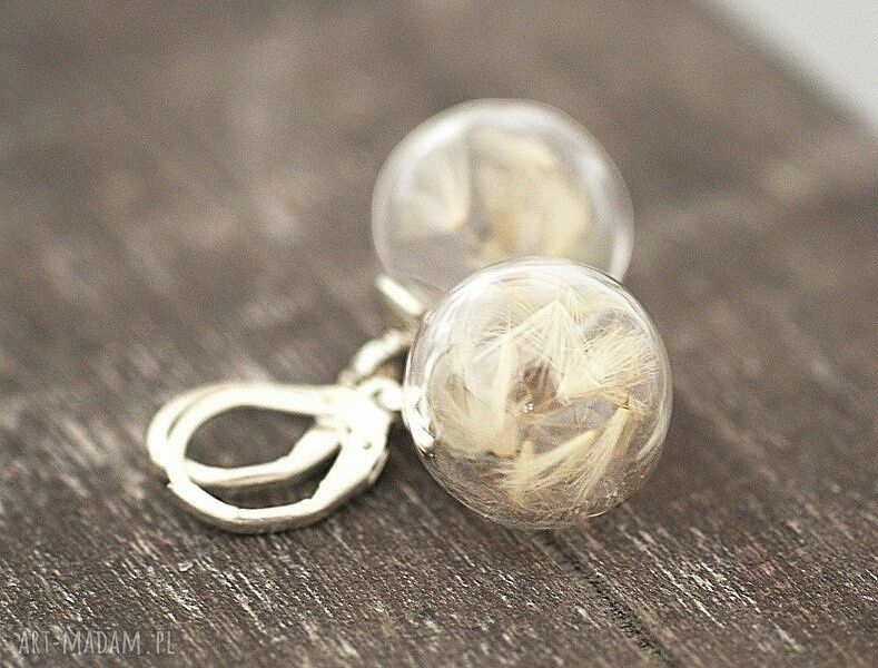 Sterling 925 ♥ Prawdziwy Dmuchawiec ♥ Kolczyki