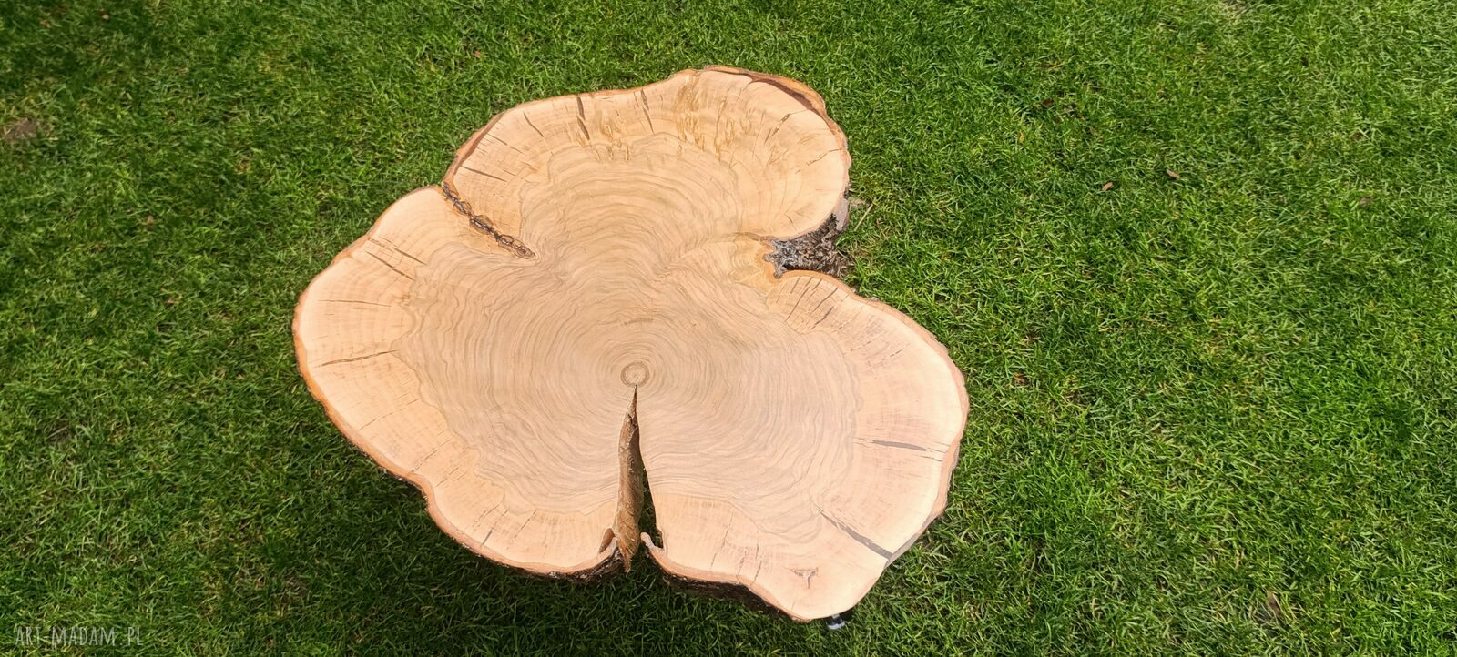 Stolik kawowy z litego drewna 7 cm - regulowana wysokość i loftowy charakter