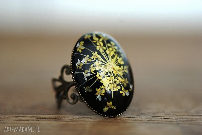 ♥ suszone kwiaty kopru pierścionek koper susz natura regulowany