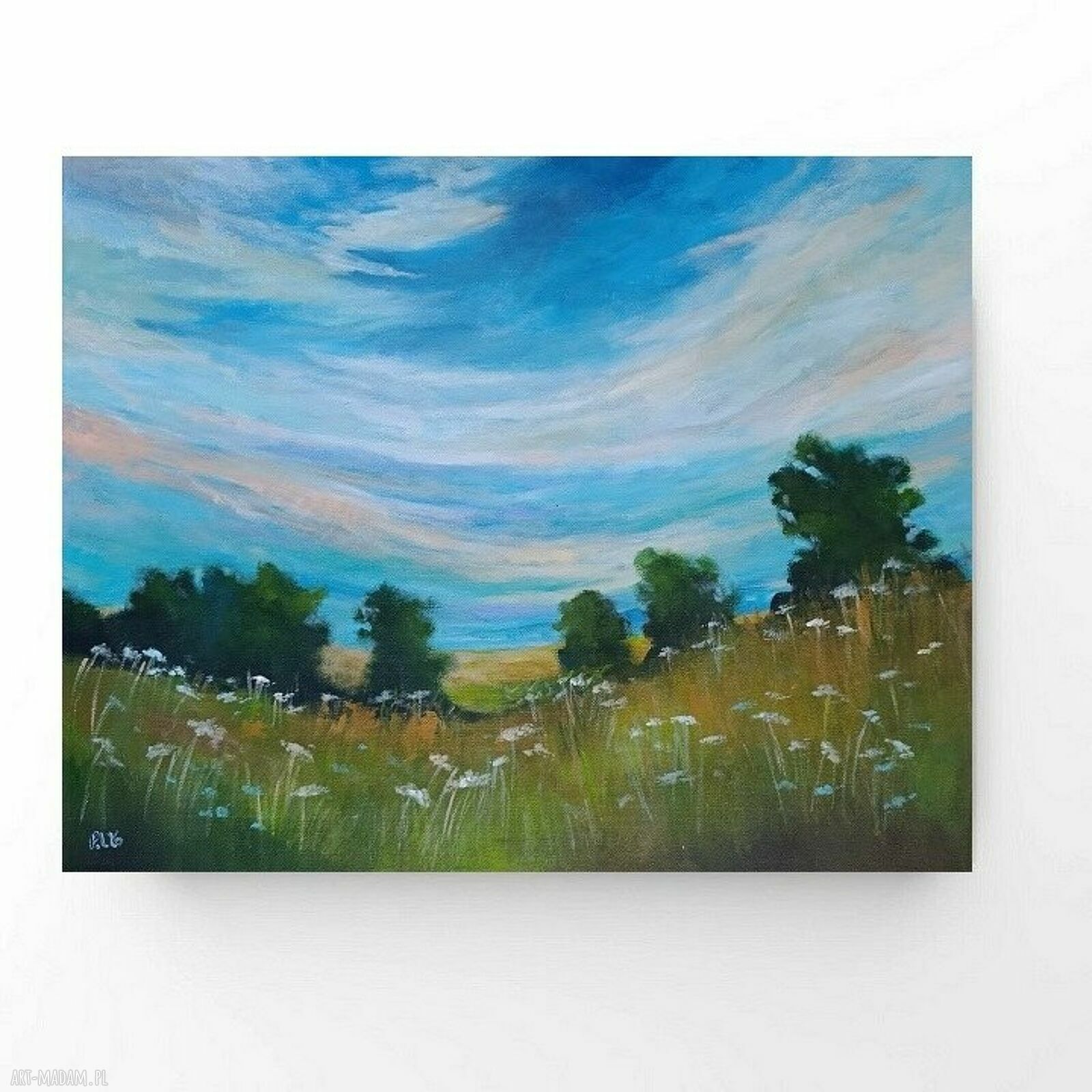 Swobodna lekkość - obraz akrylowy 40x50 cm pejzaż łąka