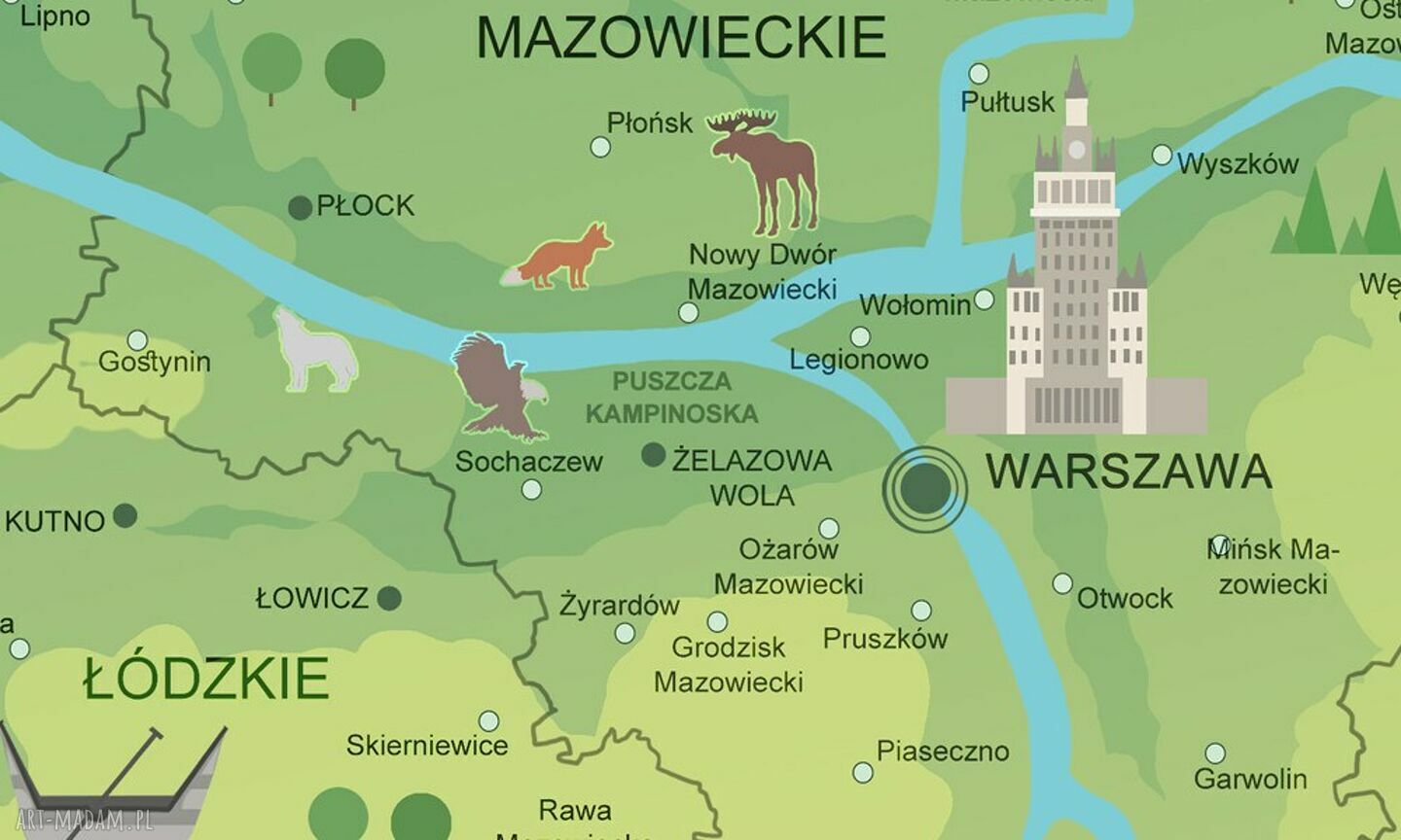 Tablica korkowa Mapa Polski 50x50 z pinezkami