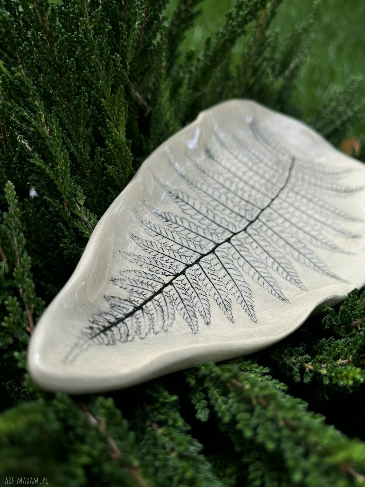 Ceramiczny talerzyk z paprotką