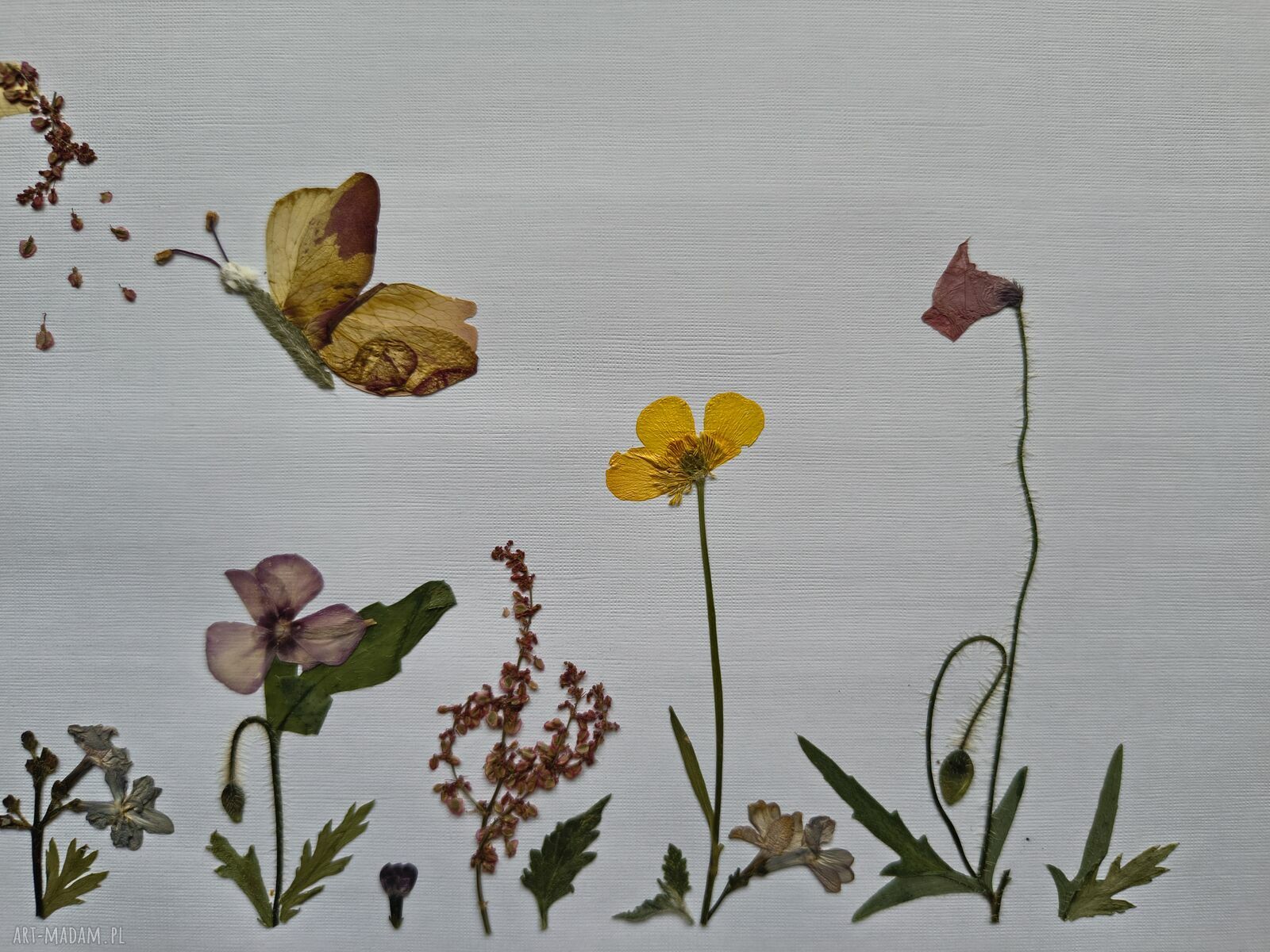 Tam, gdzie zaczyna się magia - obraz botaniczny z suszonych kwiatów 30x40 cm