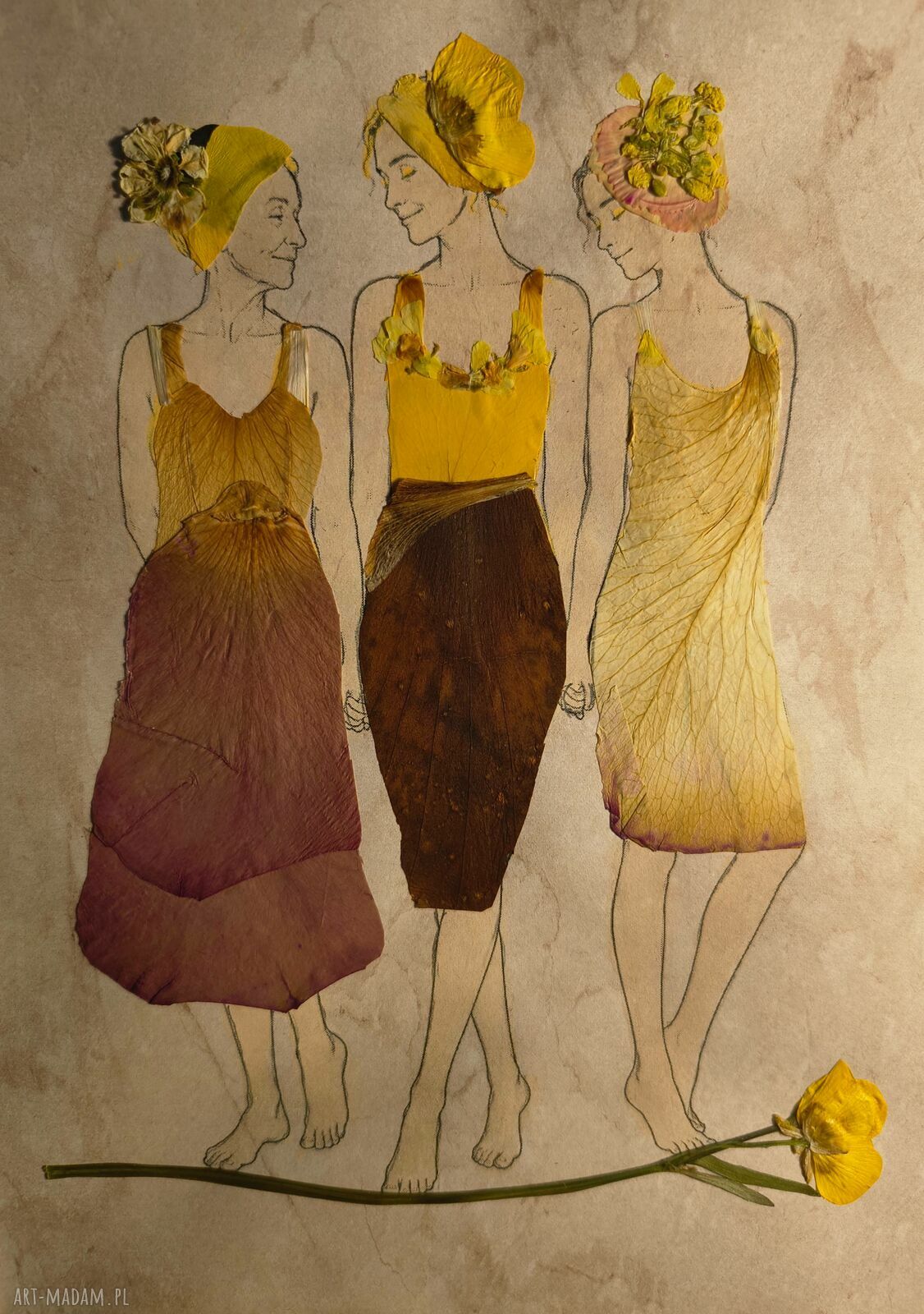 Three Women - obraz z prawdziwych suszonych kwiatów