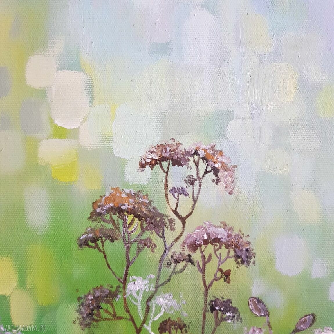 Obraz akrylowy Trawki 40x40 cm - pejzaż na płótnie