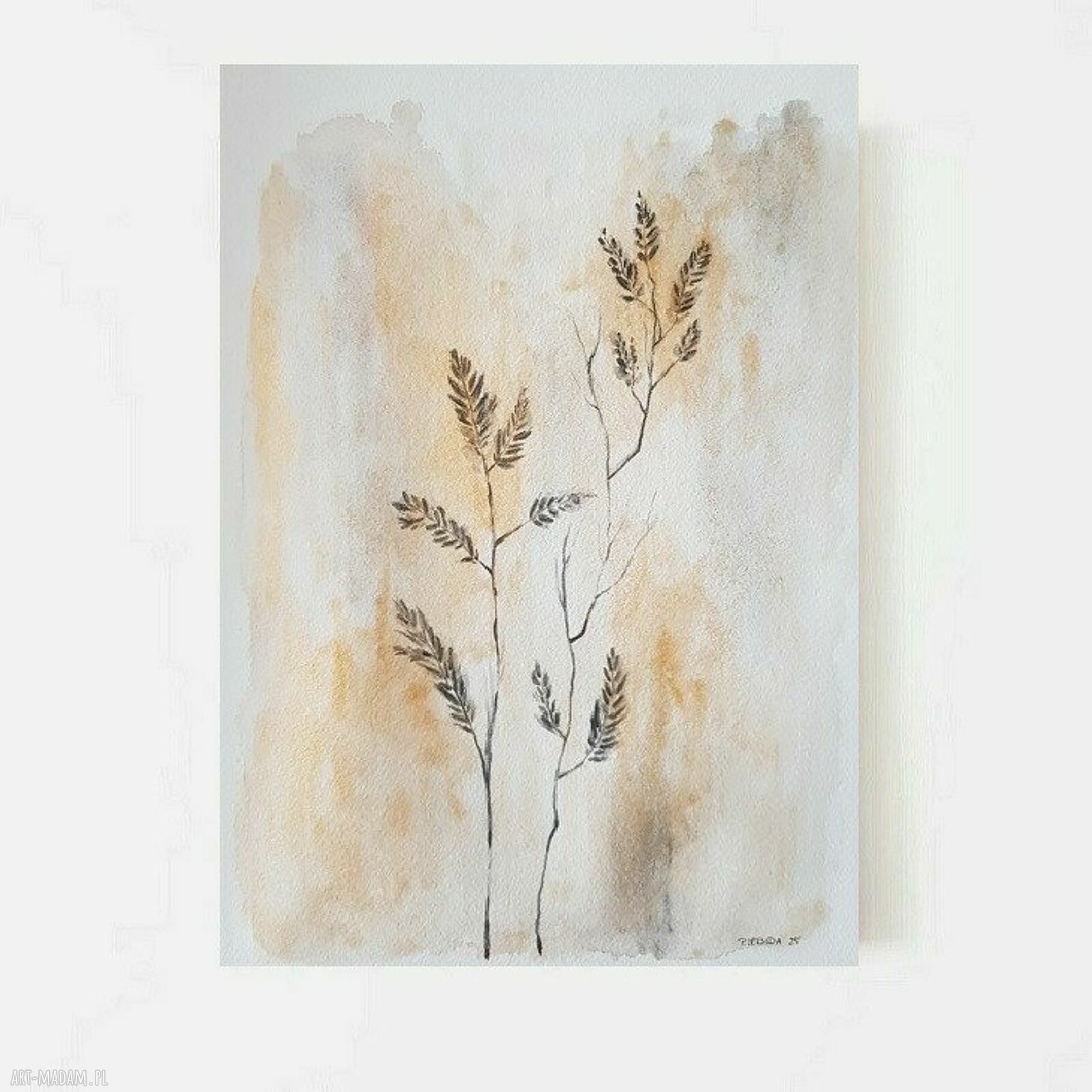 Trawy - oryginalna akwarela w formacie A4