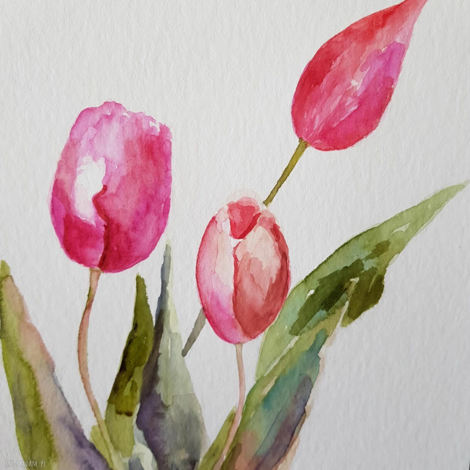 Tulipany - akwarela formatu 32/24 cm