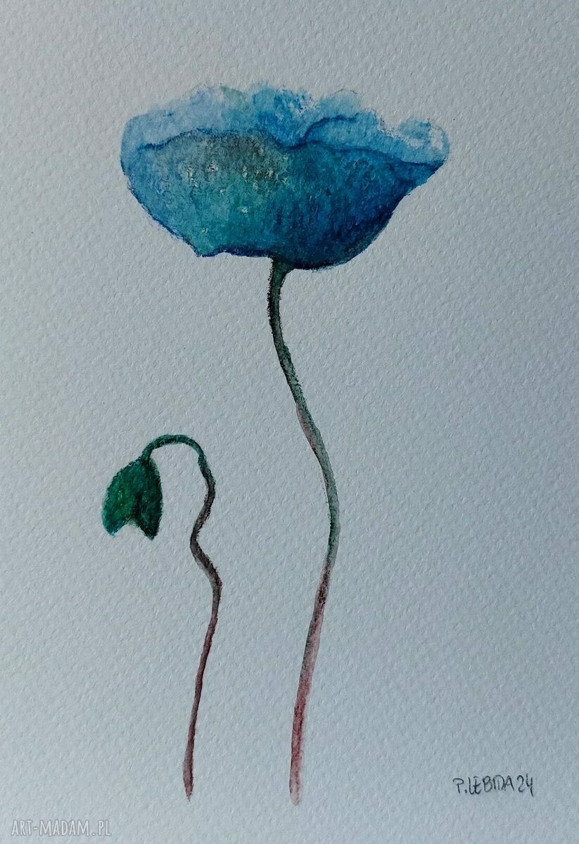 Turkusowy mak - akwarela Rembrandt (18 x 12,5 cm)