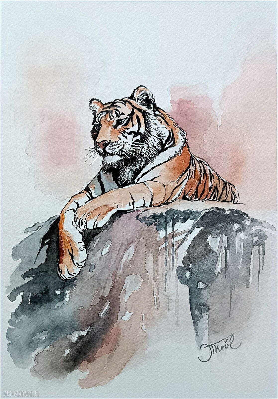 Tygrysie obserwacje - akwarela 24x32 cm
