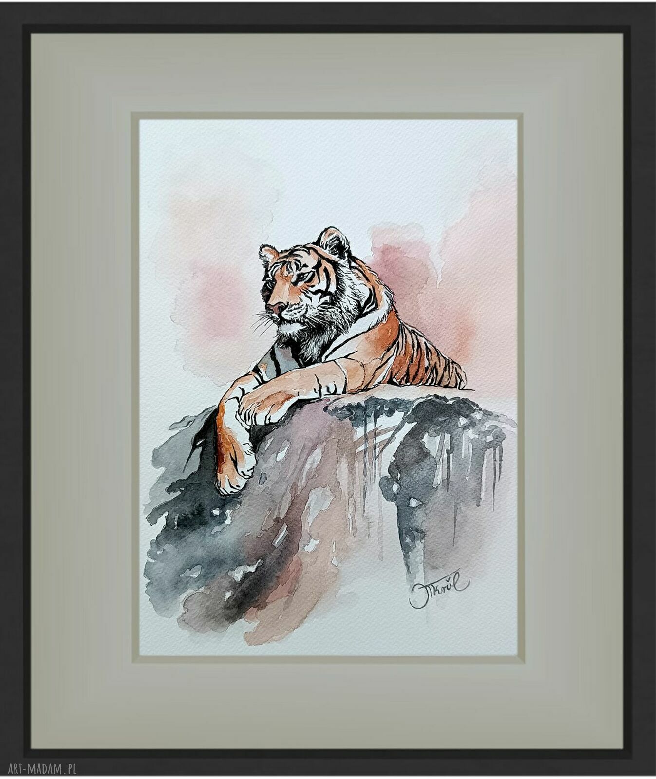 Tygrysie obserwacje - akwarela 24x32 cm