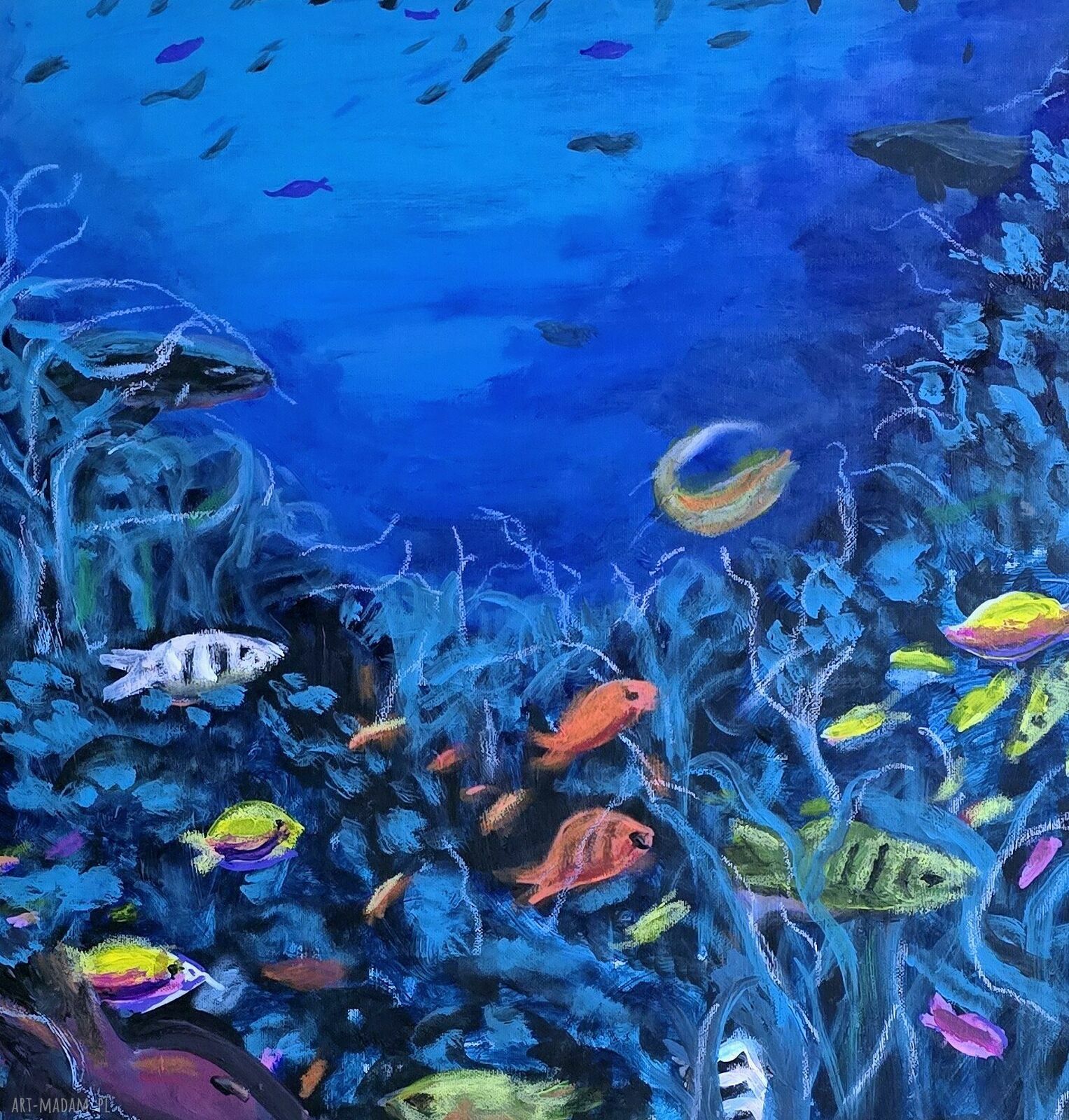 Obraz akrylowy Podwodny świat 50x50x1 cm - gotowy do zawieszenia