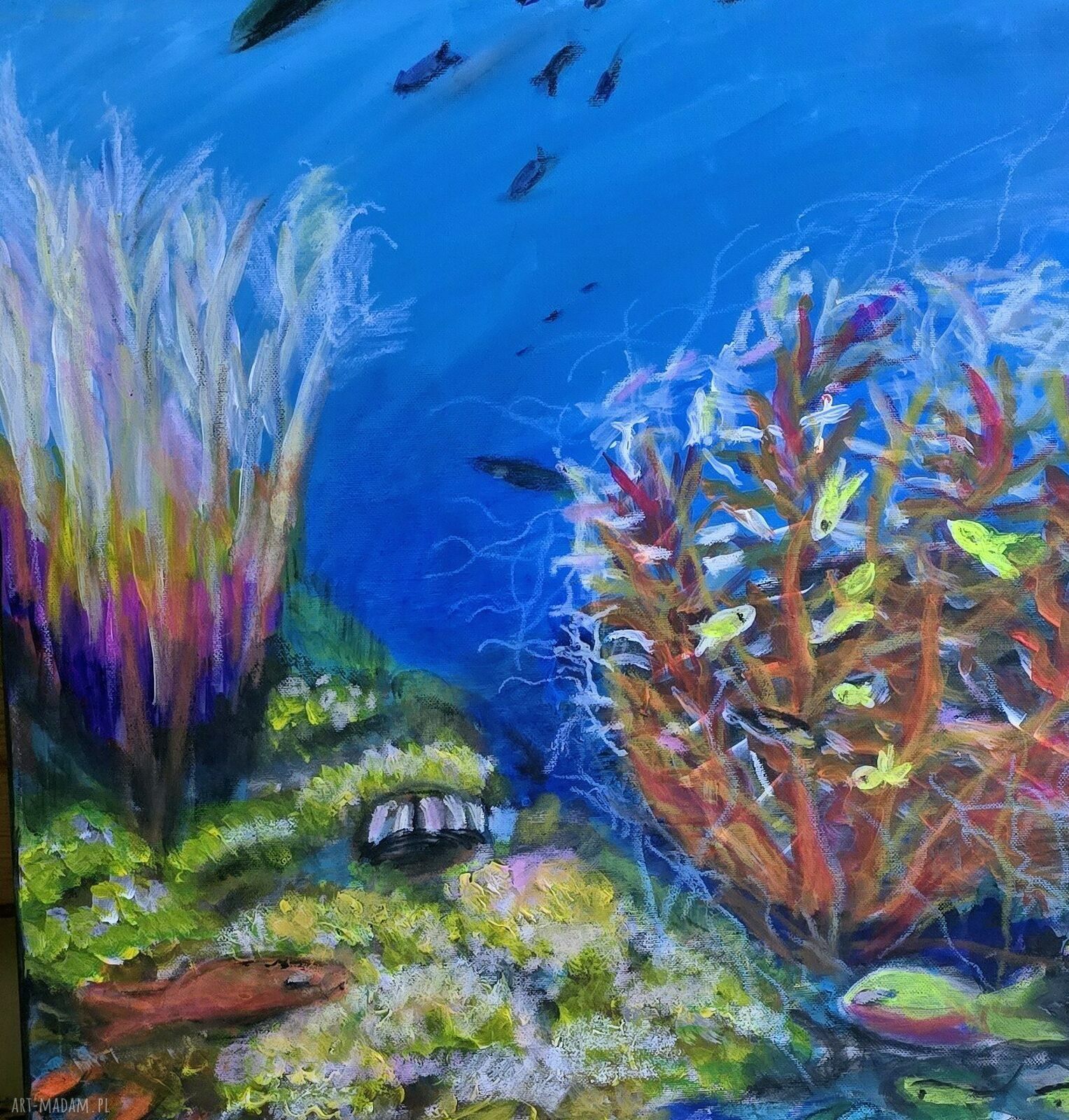 Obraz akrylowy Podwodny świat 50x50x1 cm - gotowy do zawieszenia