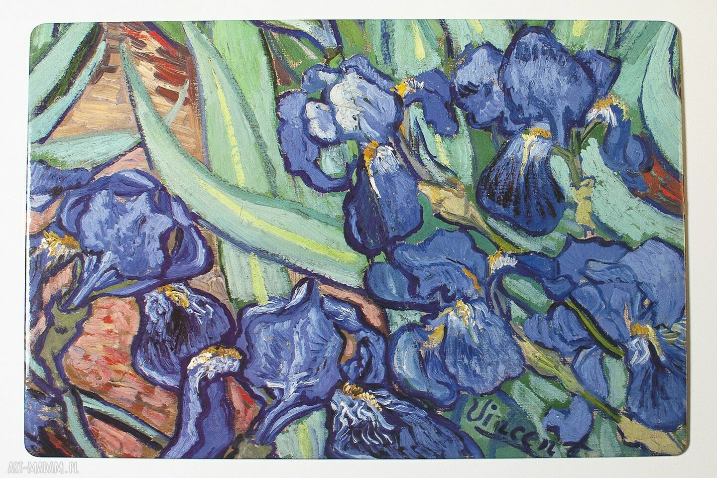 Van Gogh „Irysy” - 4 korkowe podkładki na stół