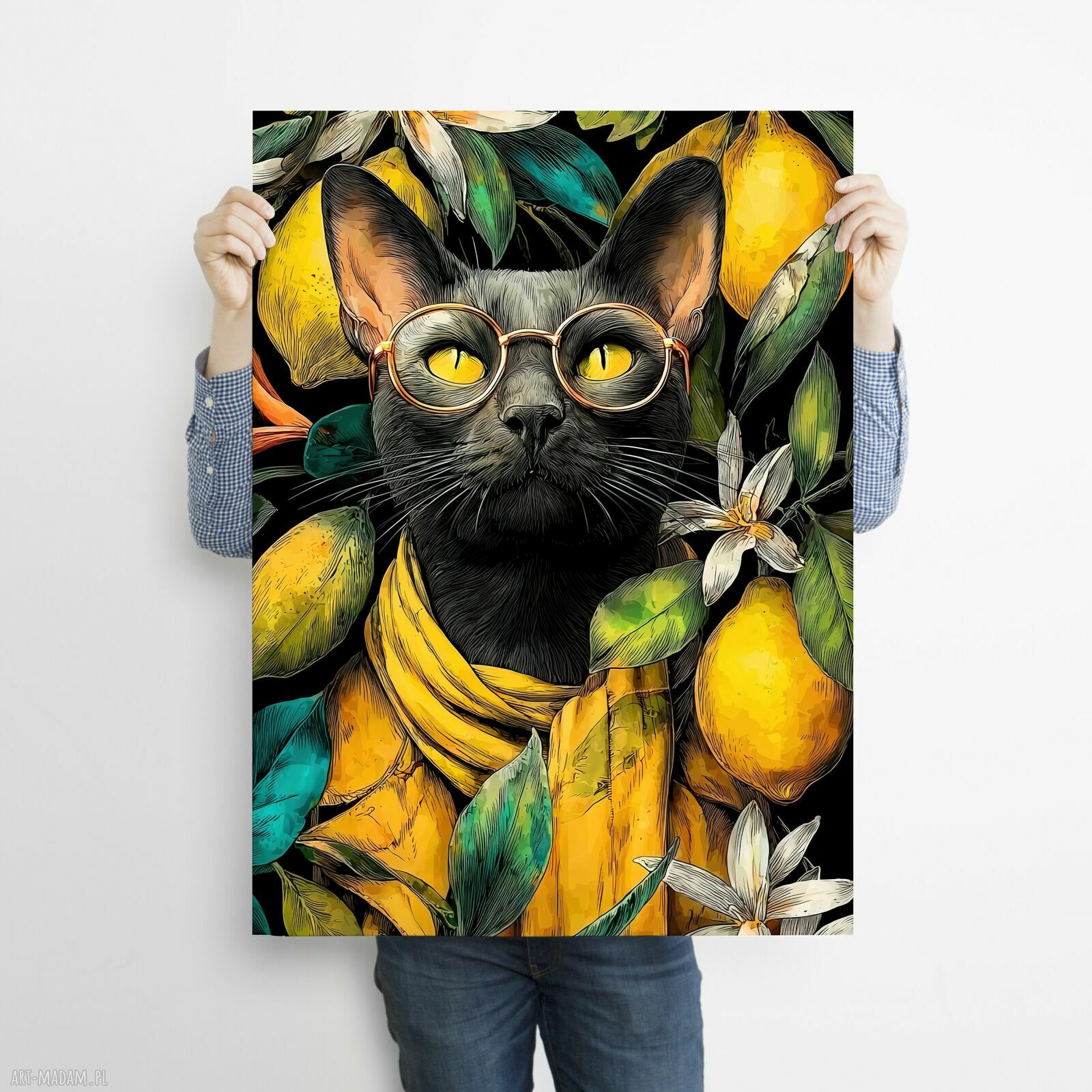 Kot w cytrusach - grafika na plakacie A3