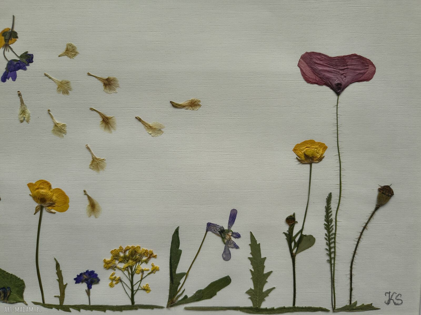 W rytmie wiatru - ręcznie wykonany obraz botaniczny z suszonych kwiatów