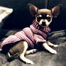 handmade akcesoria wełna z - merynosów wełniany sweterek dla psa