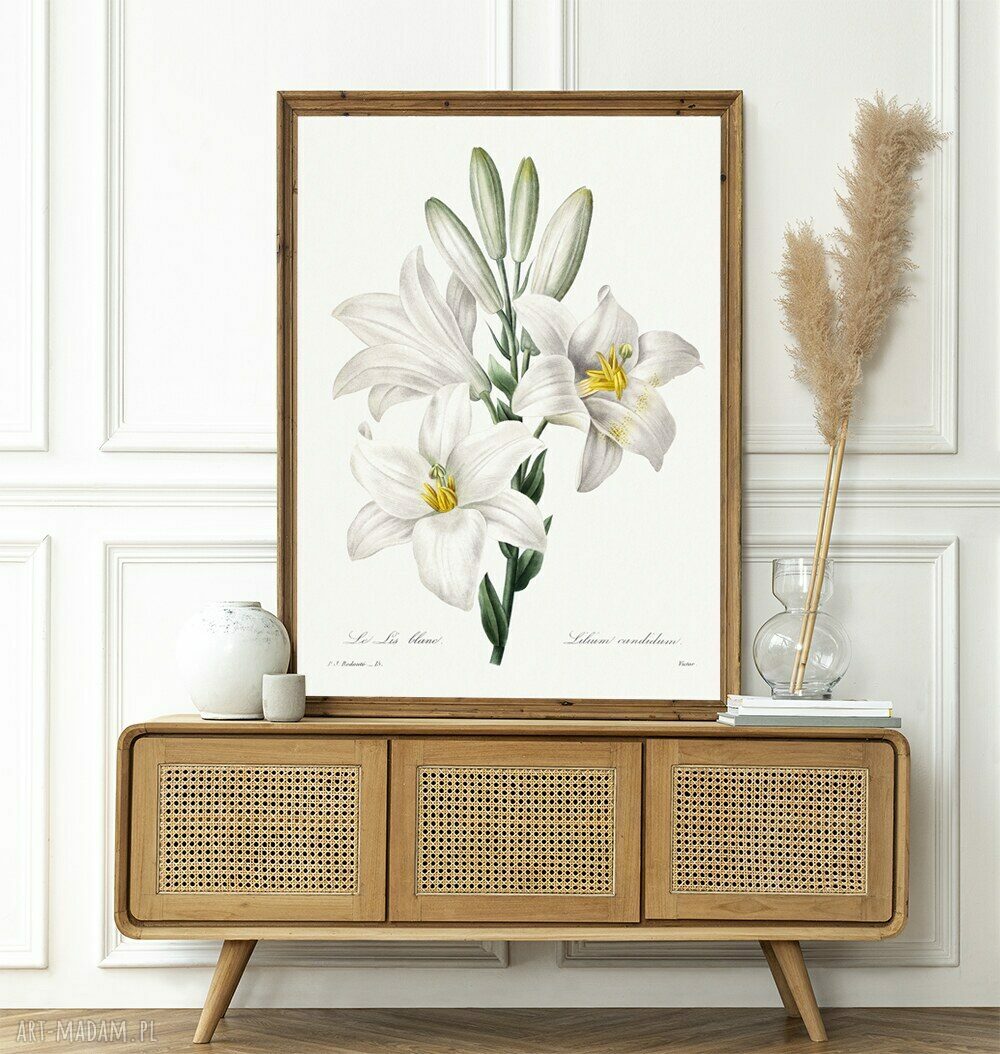 White Flowers - plakat 50x70 cm w stylu vintage z białymi kwiatami